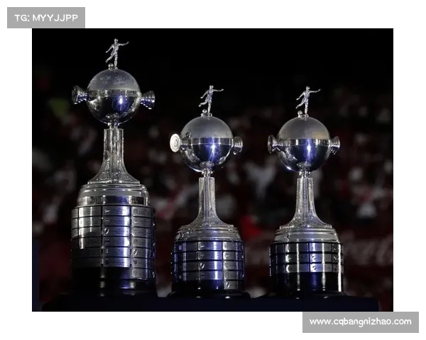 弗拉门戈营收超那不勒斯 南美豪门财力比肩欧洲准豪门 弗拉门戈营收超那不勒斯 南美豪门财力比肩欧洲准豪门